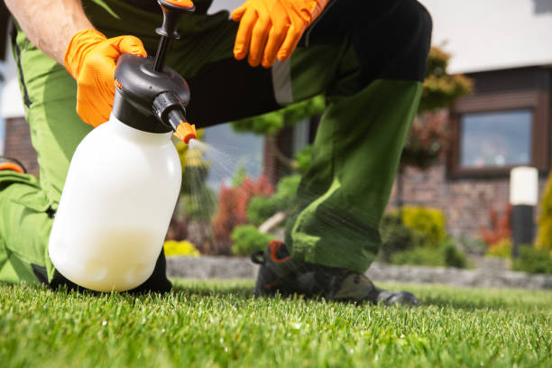 Best Pest Control Near Me in Live Oak, FL