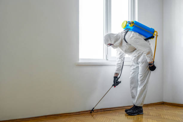Best Cockroach Control Services  in Live Oak, FL