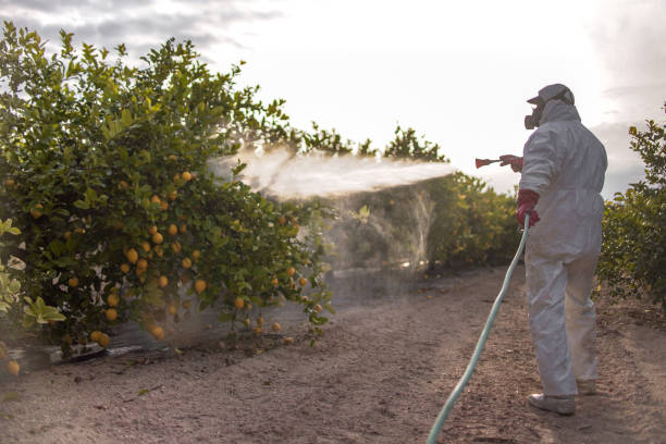 Best Flea Control Services  in Live Oak, FL