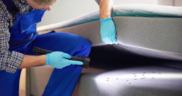 Best Emergency Pest Control  in Live Oak, FL
