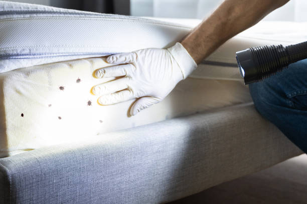Best Commercial Pest Control Services  in Live Oak, FL
