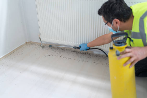 Best Residential Pest Control  in Live Oak, FL