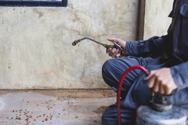 Best Pest Control Near Me  in Live Oak, FL